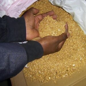Buy Gold Dust – Bulk Raw Gold Dust Supplier